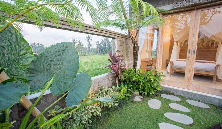 New Villa In ubud For sale  1