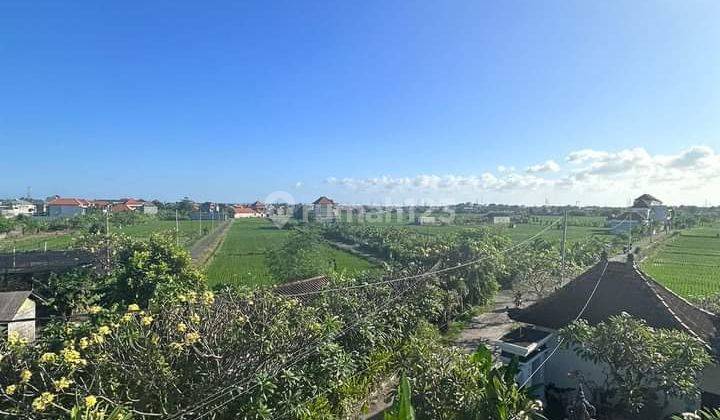 Villa with rice field view near Sanur beach, Bali Island School and Renon area 1