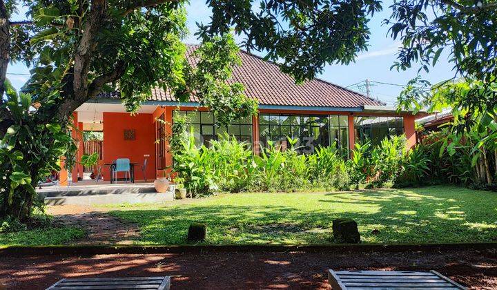 Villa with big garden in Kerobokan, North Kuta  1