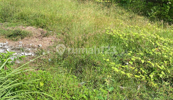 For Sale Land 100M2 Jalan Batur Sari Sanur