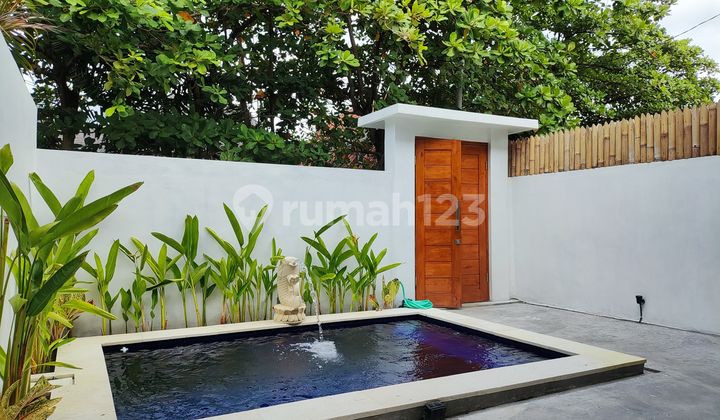 Two Bedrooms Minimalist Villa In Umalas For Yearly Rental
