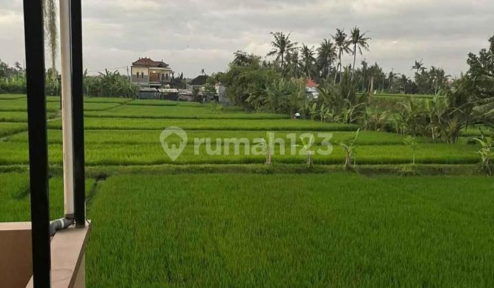 Rumah Semi Furnished View Sawah Area Gianyar  1