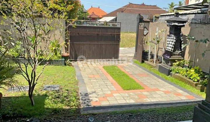 Local House Canggu Area For Monthly Or Yearly Rental 2