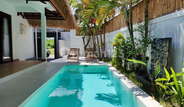 2 Bedroom Minimalist Villa in Bidadari, Seminyak