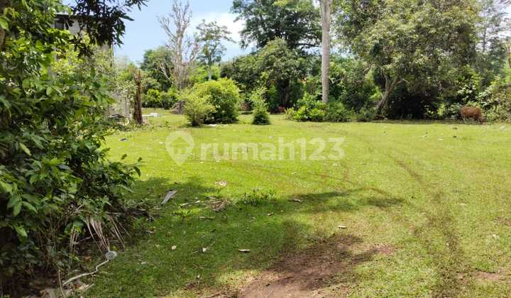 Land for Sale in Balangan Villa Area, Just 5 Minutes from the Beach