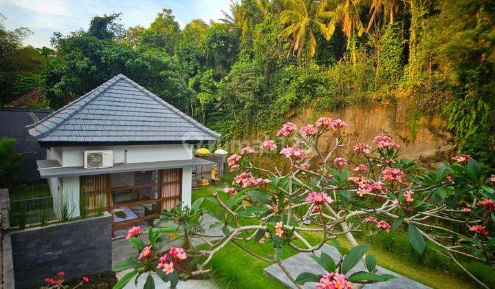 Tabanan Villa Riverside View For Monthly Rental  2