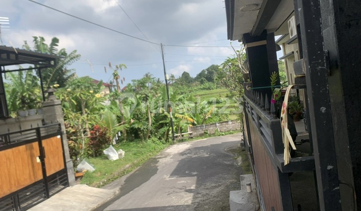 Rumah Sempidi Mengwi Badung 2