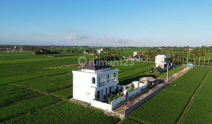 Villa With Ricefield View Minimum 3 Years Rent Only 1 Km From Beach Glamping Tabanan  2