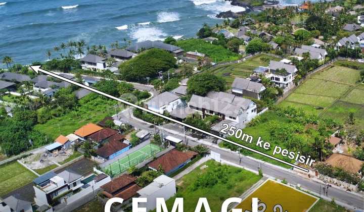 Cemagi Beach Land 250 Meters to the Tourism Zone Beach