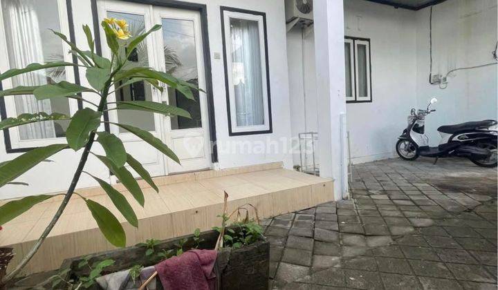 Rumah Minimalis Denpasar Barat Untuk Sewa Bulanan Dan Tahunan Denpasar Barat  1