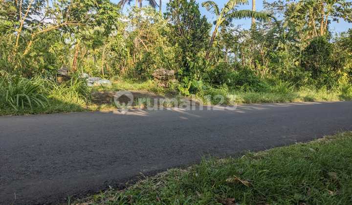 Land for Sale in Jatiluwih, Tabanan Location
