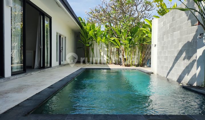 Full Furnished Villa Seminyak Area For Yearly Rental