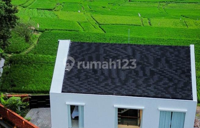 Villa Baru Dengan Pemandangan Sawah Di Ubud