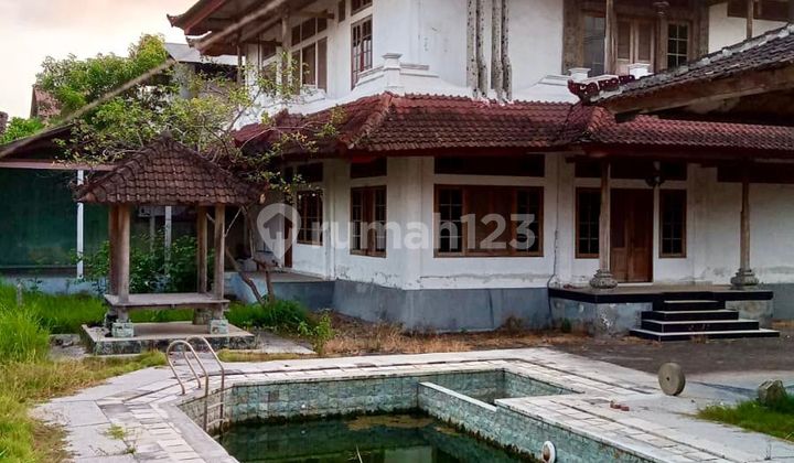 Land For Sale Free Building Villa On Main Street Gunung Salak Kerobokan Badung - Bali