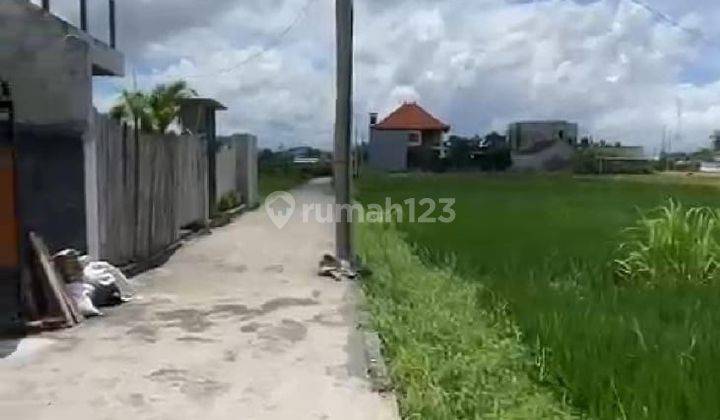 Rumah View Sawah Bali Style Dekat Pantai Ketewel Gianyar 1