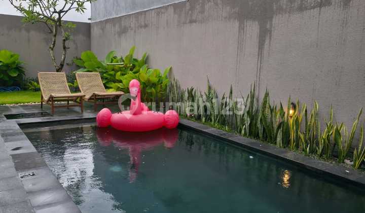 For Rent Montly N Year 2 Bedroom Villa In Umalas