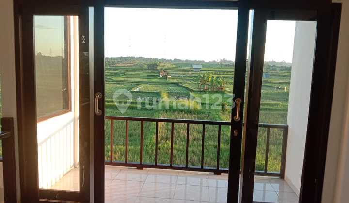 For Sale or Leasehold Semi Villa House with Rice Field View, Located in the Tumbak Bayuh Cempaka Area.
