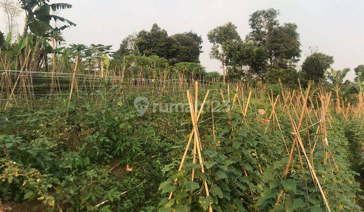 Tanah kebun .Invest, Lingkungan Tenang 3
