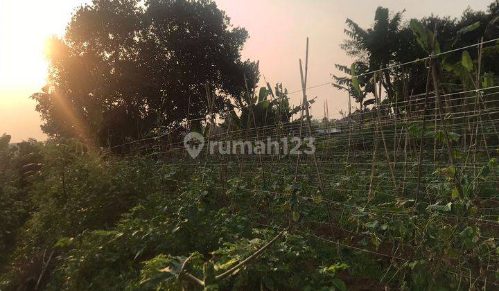 Tanah kebun .Invest, Lingkungan Tenang 5
