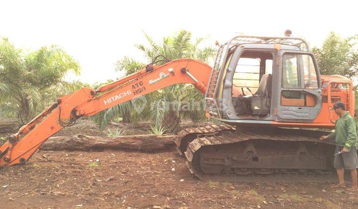 Kebun Sawit Produktif,Batu Kaur,Dumai,Riau 5