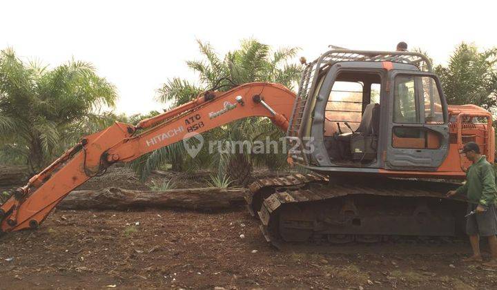 Kebun Sawit Produktif,Type Lumsum,Topaz,Sopindo,Dumai Riau 3