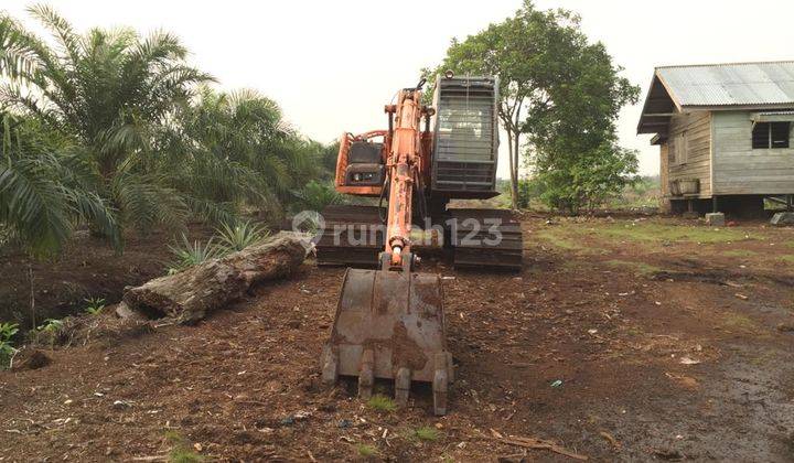 Kebun Sawit Produktif,Type Lumsum,Topaz,Sopindo,Dumai Riau 4