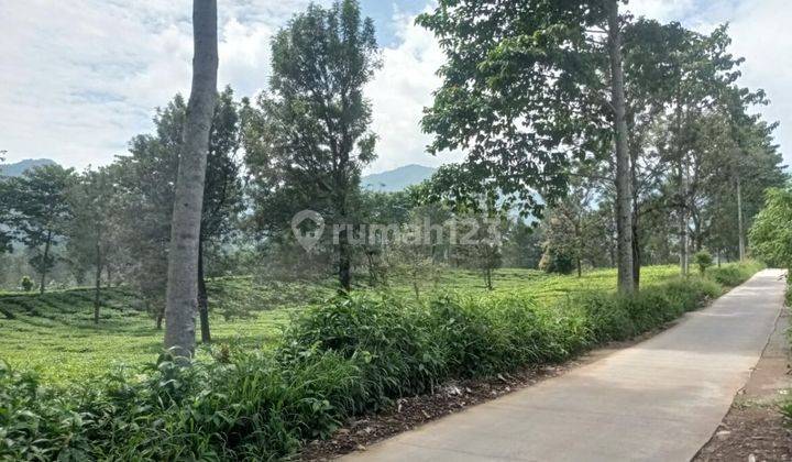 Dijual Tanah Cocok Untuk Villa di Puncak Jawa Barat 2