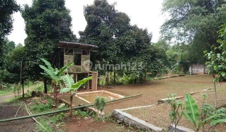 Dijual Murah Tanah SHM Cijayanti Sentul Bogor, Dekat Jalan Raya 2