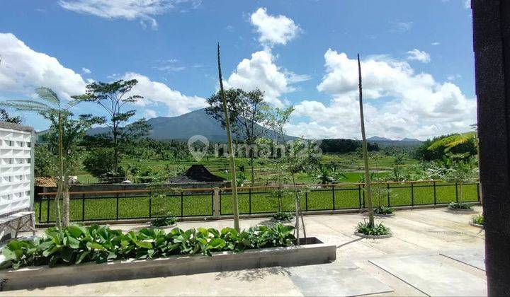 Jual Kost Serang Banten,garansi Tersewakan Deket Untirta  4