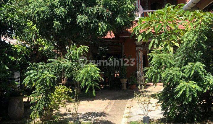 Jual Villa di Buleleng Bali Full Furnish 5 Menit Lovina Beach 3