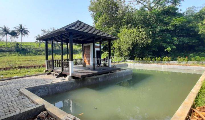 Jual Kolam Ikan di Bogor SHM Bonus 10000 Bibit Lele + Gazebo 1