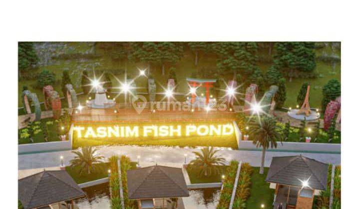 Jual Kolam Ikan di Bogor SHM Bonus 10000 Bibit Lele + Gazebo 2