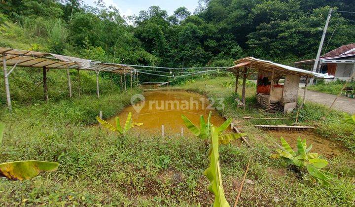 Jual Tanah,plus Kolam Ikan 2 Km Terminal Bis Leuwiliang 2