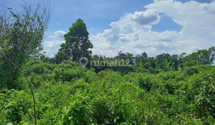 Murah Tanah Pasir Kecapi Maja Lebak Banten 2