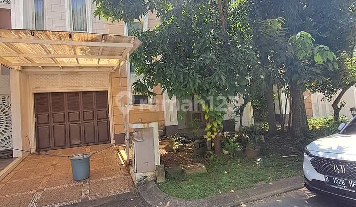 For Rent Flamingo Cluster Gading Serpong