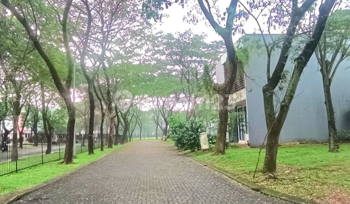 For Sale Fast Lot Foresta Cluster Foglio BSD