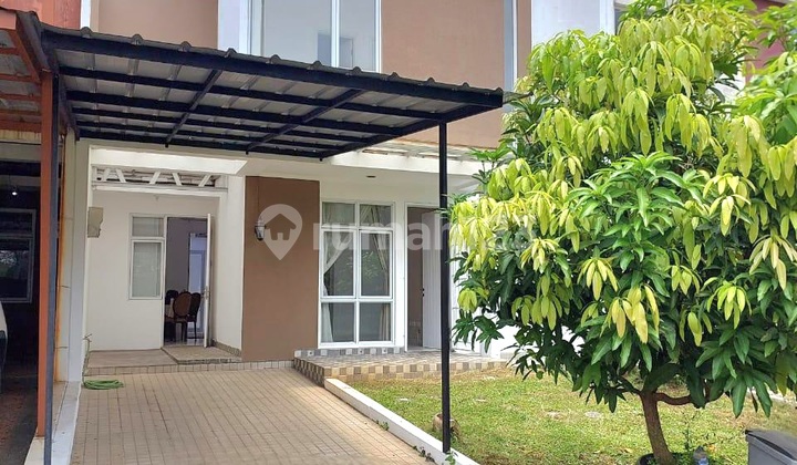 For Sale Fast Icon Eastern Cosmo BSD