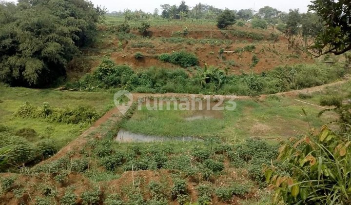 Tanah Murah Bogor Pinggir Jalan Harga Dibawah Njop 