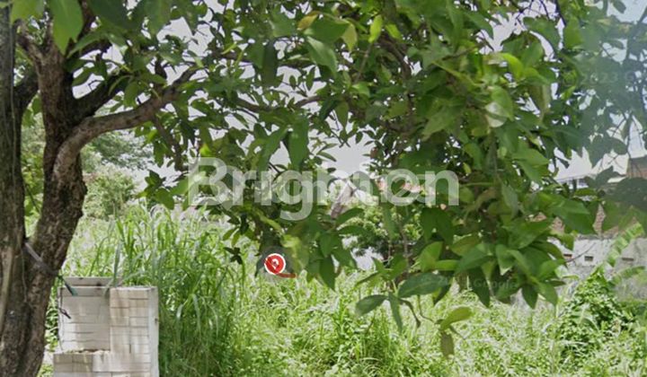 Tanah Jalan Raya Dekat Club House Citraland Utara Sport Center Tanah Jalan Raya Dekat Club House Citraland Utara Sport Center