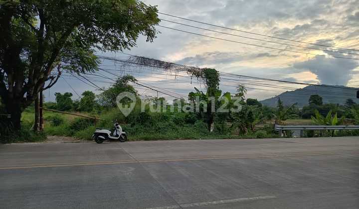 FOR SALE LAND ON THE NATIONAL ROAD SERANG - CILEGON, SUITABLE FOR HOSPITAL, WAREHOUSE, FACTORY, ETC. FOR SALE LAND ON THE NATIONAL ROAD SERANG - CILEGON, SUITABLE FOR HOSPITAL, WAREHOUSE, FACTORY, ETC.