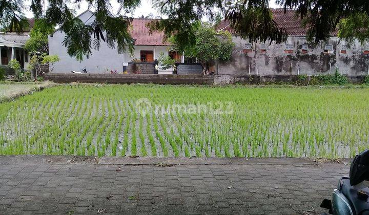 Di Jual Tanah Jalan Batas Dukuh Sari, Gg. Curik SHM. Cocok untuk Kost - Kost'an, Kavling Block, Rumah Pribadi maupun Tempat Usaha 2