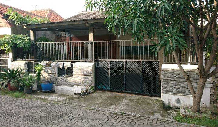 Rumah Jl. Nias  1