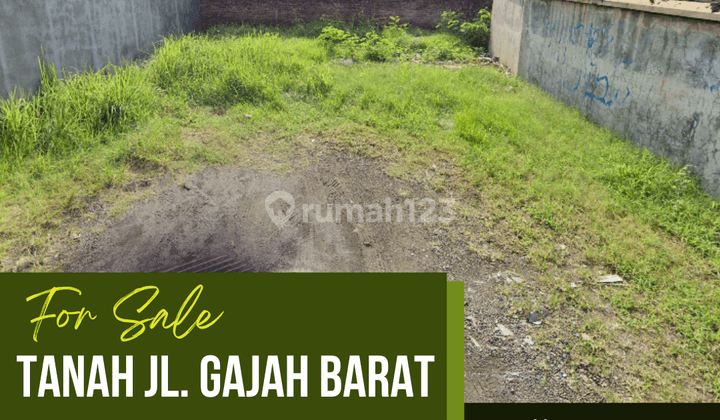 Tanah Jl. Gajah Barat 1