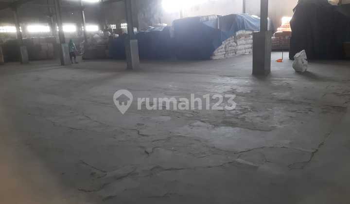 Campurejo Warehouse Kendal