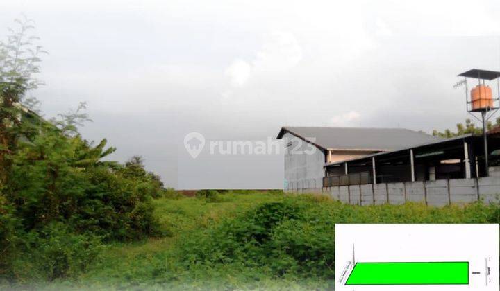 Dijual Tanah Raya Montong Sari, Weleri  2