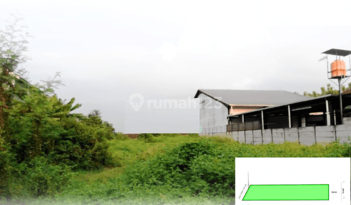 Dijual Tanah Raya Montong Sari, Weleri  1