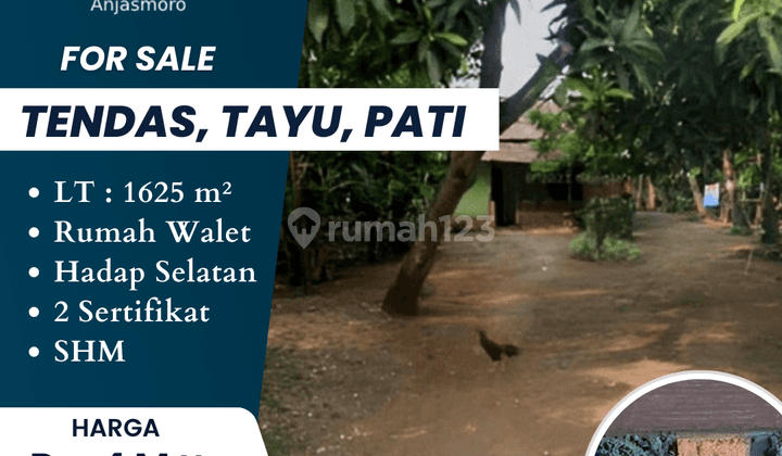 Dijual Rumah Walet di Tendas Tayu Pati  1