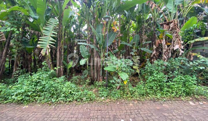 Podorejo Ngaliyan Land 2