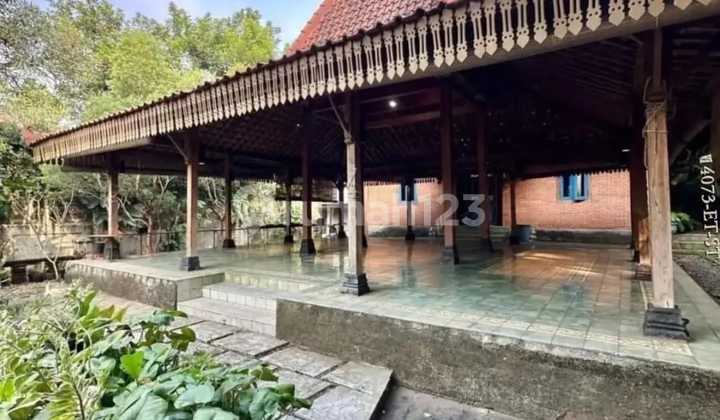 Rumah Model Tradisional Klasik Dengan Pendopo Di Cluster Bintaro Jaya Sektor 9 2