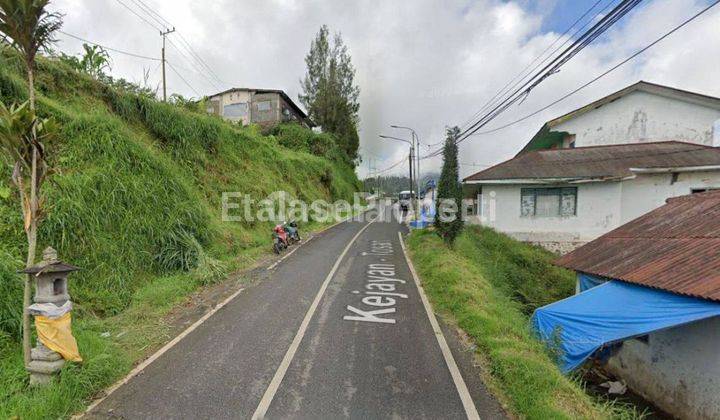 Jual Tanah Potensial Di Desa Tosari Dekat Plataran Bromo 2